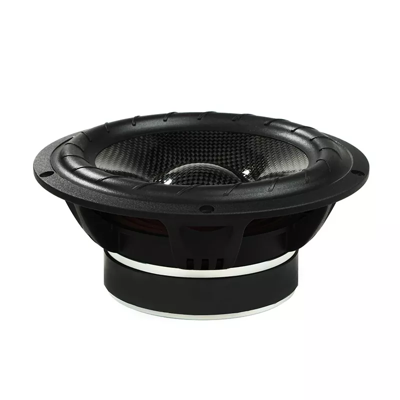 2-way Carbon Fiber Car Speaker