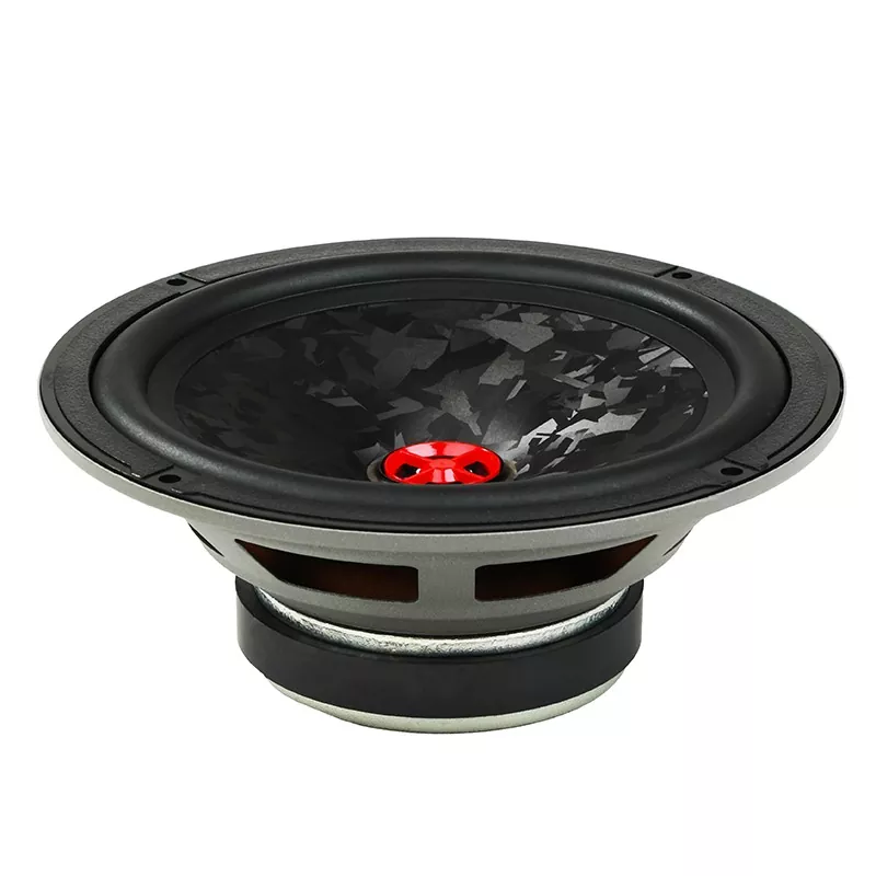 6.5-inch PP Car Speaker