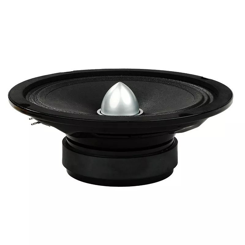 8-inch Paper Pressed Car Speaker